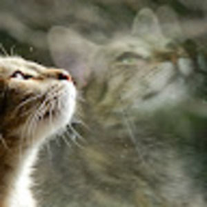 Meet your Posher, Colleen